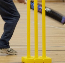 Walking cricket with bat and stumps