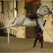 Cavendish horse
