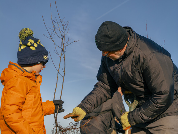 A man and a boy planting a tree