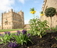 Bolsover Castle garden