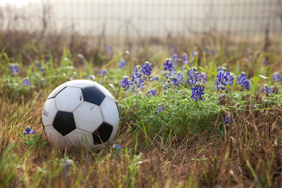 Football in bluebells