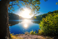 Lake
