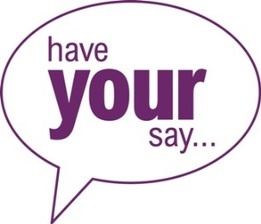 Have your say logo 