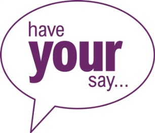 Have your say logo 