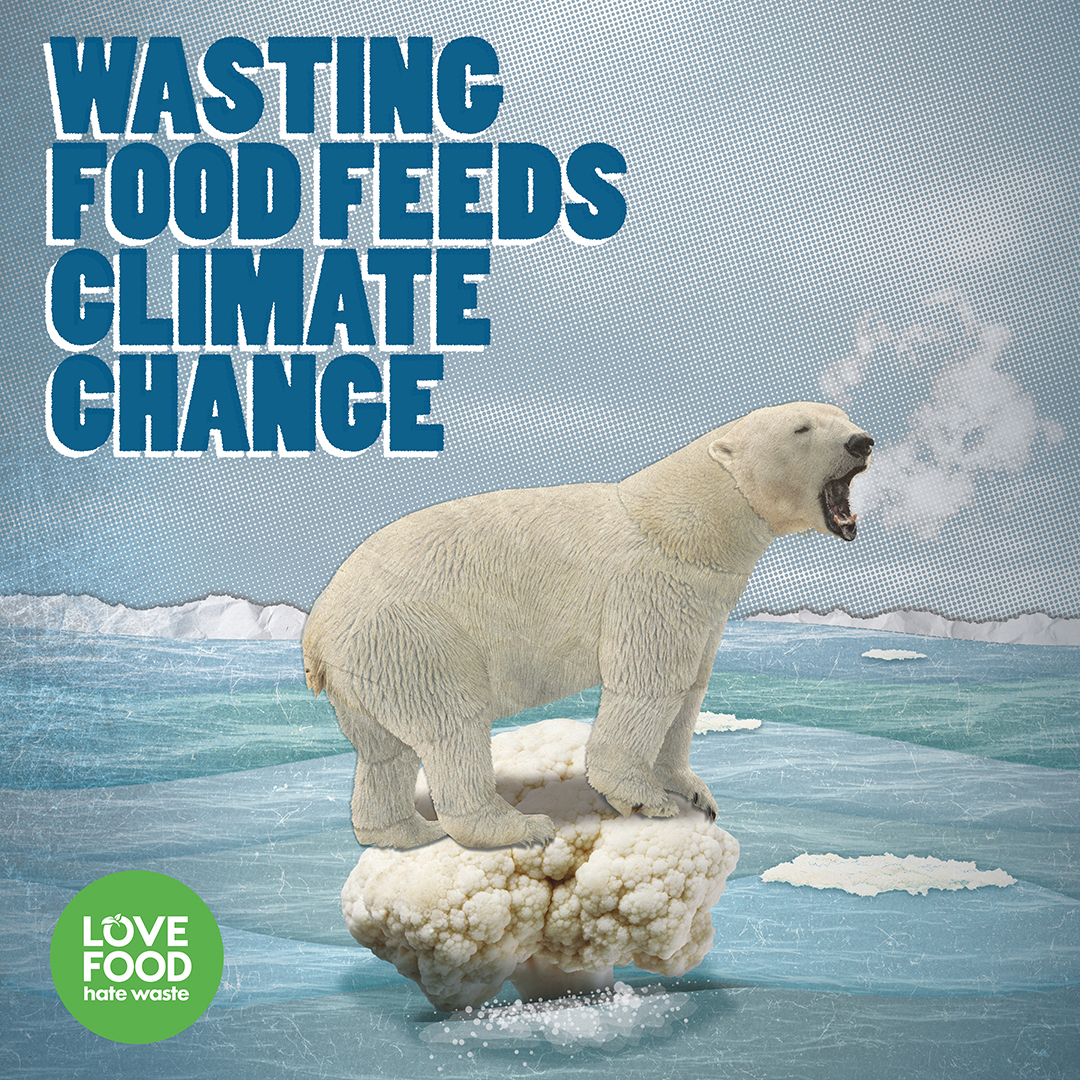 Food waste climate change polar bear