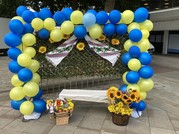 Balloon arch