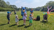 Foster carers picnic