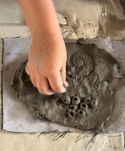 Clay fossil - higgins