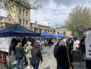 Bedford Flea