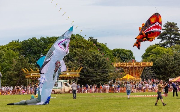 Kite and Motoring Feature