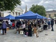 Bedford Flea