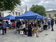 Bedford Flea