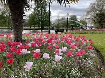 Bedford Embankment