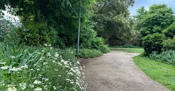 A path with grass to one side and flowers on the other