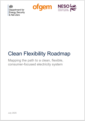 Clean Flexibility Roadmap cover