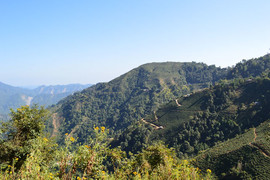 Darjeeling Hills, India. BGS © UKRI.