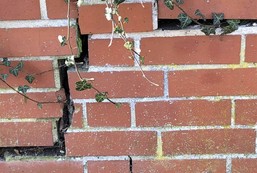 Climate scenario analysis and stress testing