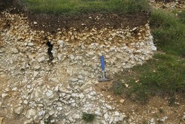 The Lewes Nodular Chalk Formation contributes to the chemistry of overlying soils in Culver Down on the Isle of Wight.