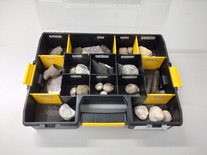 Fossil loan box
