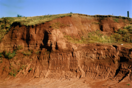 Quarry at Upper Madeley Farm, looking NE