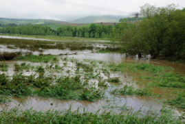 Flooding in Eddleston, Scottish Borders. It is a rainy day and there is water all around, covering a lot of grass. 