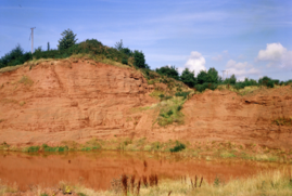Kidderminster Formation Sandstone at Shepley Quarry. Sandstones high in the Kidderminster Formation, Sherwood Sandstone Group.