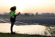 A worker stands using a laptop on the site of a floating solar farm. 