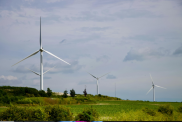 Wind turbines standing in a field. It is a cloudy day in summer. 
