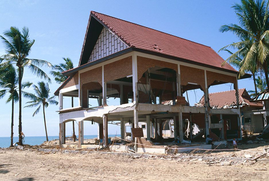 tsunami damage
