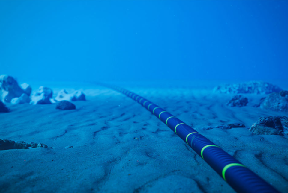 An image of a subsea cable on the sea floor. The cable is blue with green elements. 