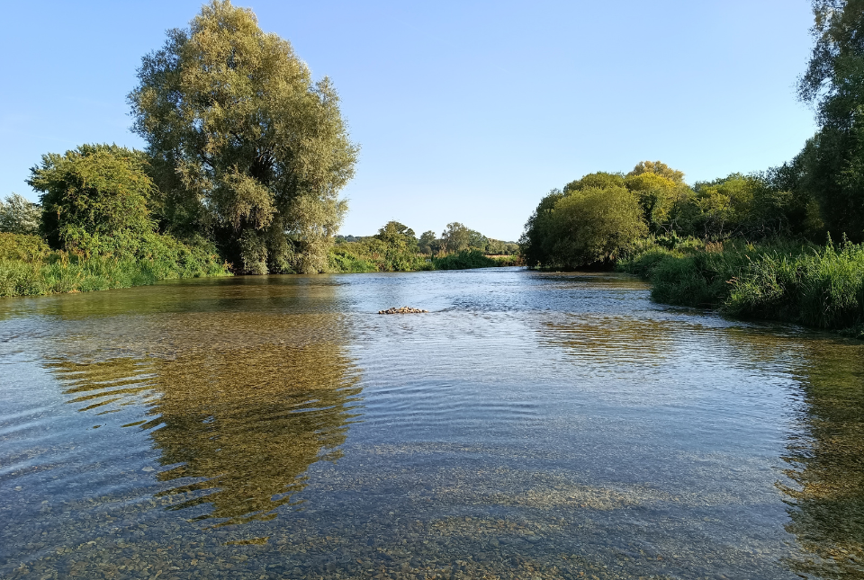 The River Test at Houghton in Hampshire. The river takes up the central image. There are green trees and shrubbery along the river banks