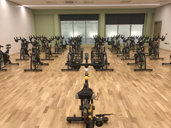 Sedbergh exercise bikes