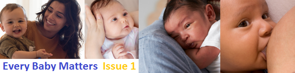 Every Baby Matters Header