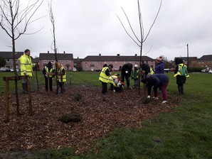 Brafferton Arbor National Tree Week