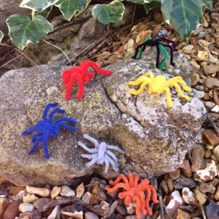 Pipe cleaner spiders rock