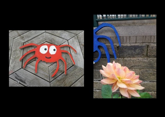 Hunt the spiders outside