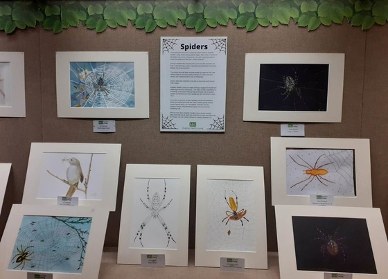 Case with KHL Spider paintings