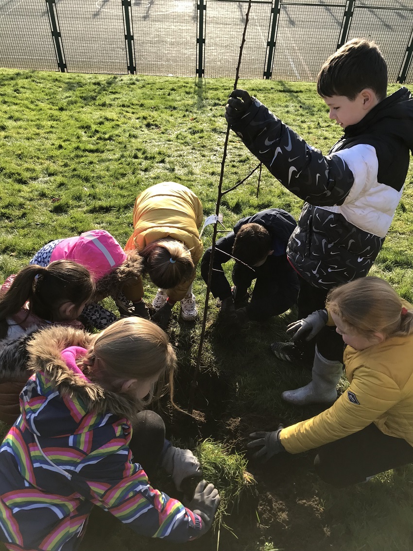 Tree for every child