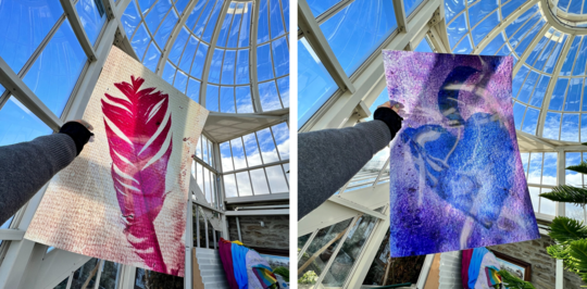 Photosynthesis images