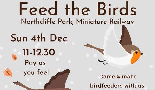 Bird feeder - workshop