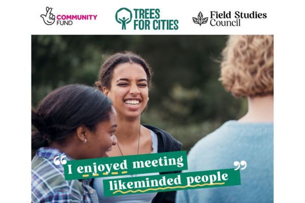 Discovering Trees in Summer – Free Tree Training