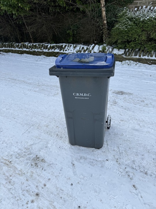 Bin in the snow