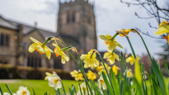 Bradford Cathedral Spring