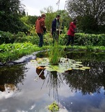 Photo of people planting around a pond