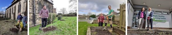 Photos of fruit trees being planted across Bradford district