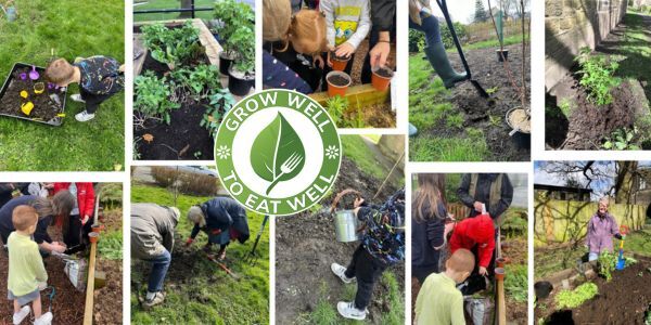 Collage of photos showing people planting trees and other plants