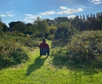 Photo of someone in a wheelchair facing away from camera in a beautiful outdoor setting