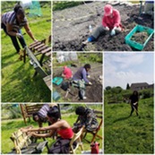 Photograph of the gardening group