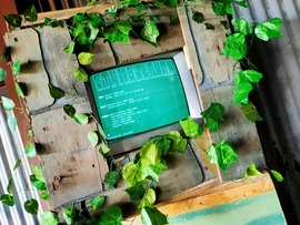 Television in wood wall surrounded by leaves