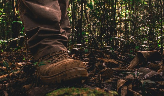 An Autumn Morning Walk